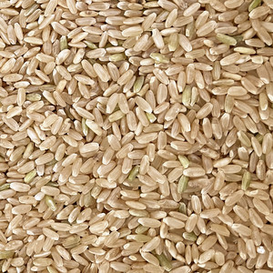 2023年新米糙米松江大米绿色糙米5kg装胚芽齐全晚稻