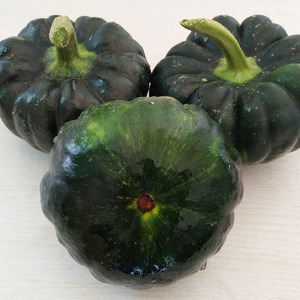 云南新鲜七叶瓜 红河特产应季蔬菜小南瓜小瓜农家现摘现发