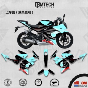 ds 适用飞鹰r25摩托车机车跑车贴花贴画贴纸版画全车改装膜定制