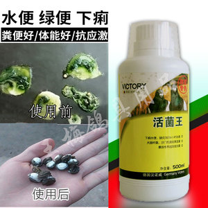 活菌王