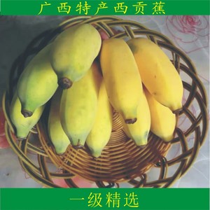 广西特产西贡蕉  新鲜banana香蕉 新鲜水果现砍现发