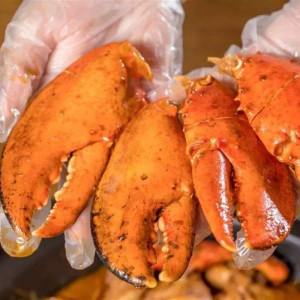 大龙虾钳子肉 特大新鲜冷冻波龙 波士顿龙虾钳子超大龙虾钳500g
