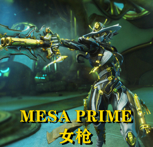 warframe国际服星际战甲圣装女枪prime战甲mod武器代刷代肝攻略