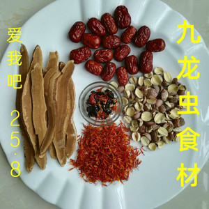 正宗九龙虫食材九龙虫饲料宠物虫长寿虫活体幼虫食物药材饲养方法