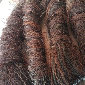 wf自然坊淘宝生态雨淋缸造景须枝条 水陆缸装饰藤条 榕树须 龙须根