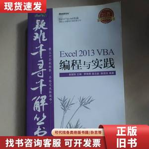 疑难千寻千解丛书 Excel 2013 VBA编程与实践 罗刚君、章兰新