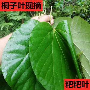 重庆桐子叶粑粑