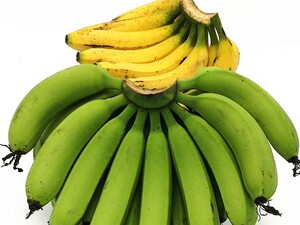 香蕉banana 新鲜水果无催熟剂 广西南宁特产非米蕉皇帝蕉 8斤装