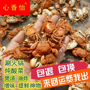 无干燥包 500克小螃蟹干货海鲜干虾乌拉火锅炖酸菜底料食材海蟹干