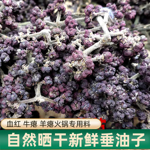 吴茱萸新鲜垂油子捶油子锤油子贵州农家特产牛瘪羊瘪血红香料50g