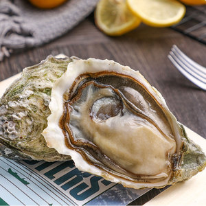 加拿大进口鲜活生蚝枫林湾s新鲜水产美食顺丰空运刺身级海蛎子