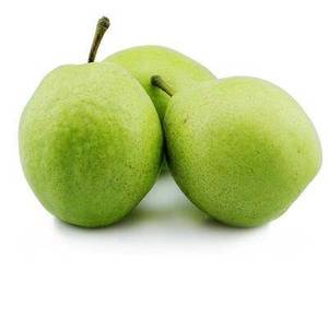新鲜河北早酥梨酸甜多汁脆水份足新鲜水果绿皮梨子10斤