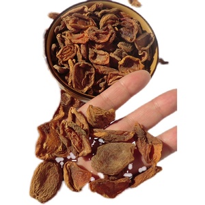 甘肃土特产张掖特产纯天然杏干21年新干货果肉脯零食杏皮500g包邮