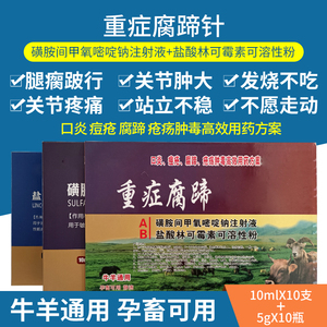 兽药重症腐蹄针组合 口蹄血清心肌康 兽用牛羊痘关节肿大疼痛发烧