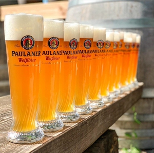 肥猫酒杯德国精酿进口paulaner柏龙啤酒杯保拉纳啤酒杯德式小麦杯