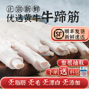 新鲜蹄筋生牛筋牛大主筋牛蹄筋生鲜牛肉牛筋10斤商用纯筋食品