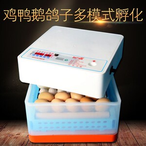 伊科贝特孵化机