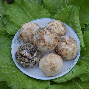 竹溪特产 霉豆渣臭豆渣4个 白菜豆渣汤食材 豆腐渣煲汤霉豆渣