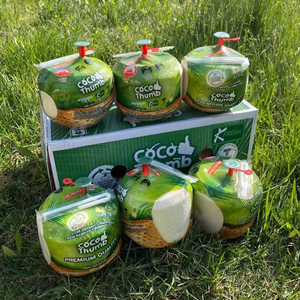 000人付款淘宝顺丰泰国coco椰青进口易开宝椰子新鲜易拉罐地雷椰香水