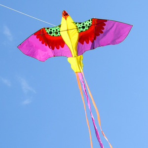 新款七彩凤凰风筝初学儿童微风易飞成人大型高档立体长尾潍坊风筝