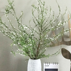 云南鲜花直播间云南基地直发水养花束雪柳干花家用办公室插花花艺