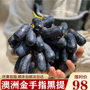 澳洲进口金手指黑提2斤进口美人指无籽黑提葡萄当季新鲜 孕妇水果