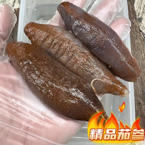 海茄子参 淡干海参干货 泡发率达8倍 茄参中的精品 500g/ 80-90头