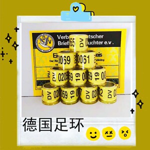 信鸽足环带证2019年带证正品统一公棚赛鸽脚环德国足环鸽环包邮