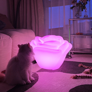 气氛灯卧室情趣投影调情