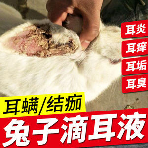 兔子滴耳液洗耳液宠物兔专用耳道清洁除螨消炎杀菌结痂歪头病药