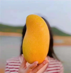 王小二旗舰店海南金煌芒当季产地直销水果香甜水仙芒太阳之子芒果