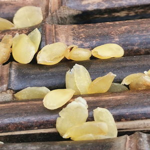 无糖皂角米双荚野生特级250g雪莲子天然散装双夹农家自产