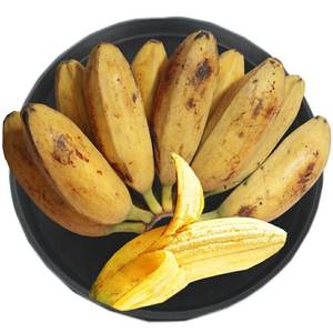 蕉4斤新鲜孕妇时令热带水果小米蕉香蕉小芭蕉巴焦banana0人付款999