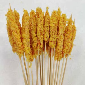 雪花鸡柳小串100根油炸小吃商用半成品鸡肉小串手把夜市小吃