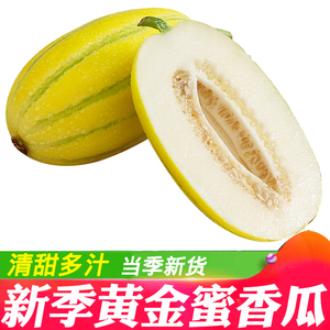 当季黄金蜜香瓜5斤 清甜多汁孕妇时令新鲜甜瓜哈密瓜水果包邮