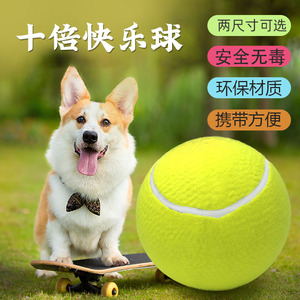 9.5寸签名网球 十倍快乐球狗狗玩具球超大网球柯基宠物充气大网球