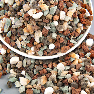 多肉土专用颗粒营养土肉肉通用型养花种植土铺面石老桩法师土