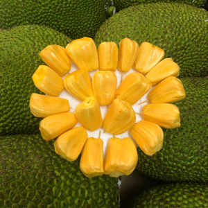 越南进口红肉菠萝蜜新鲜水果整果当季非海南菠萝蜜