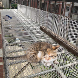 塑料网格防护网阳台围栏网防猫封窗户防盗窗防漏网垫宠物安全胶网