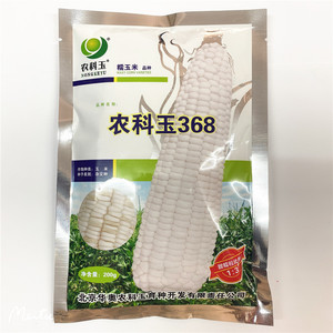 50晏紫东全国粉丝后援会淘宝北京华奥农科玉 京科糯928 白玉米种子