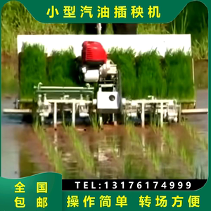 新型水稻插秧机小型手扶式六行使用七寸苗盘种植机水稻10行直播机