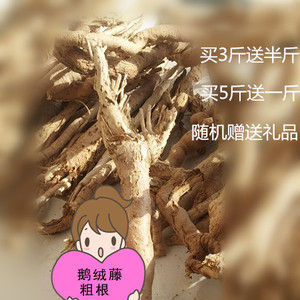 大擀杖叶羊奶角 鹅绒藤粗根民间偏方 三叉神经疼 西北特产包邮