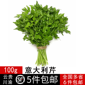 新鲜蔬菜巴西利洋香菜欧芹洋芫荽香料意大利芹100gparsley