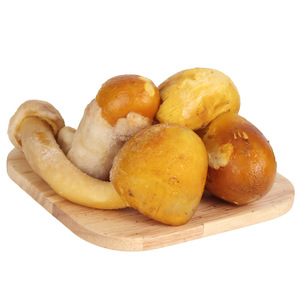 云南特产野生新鲜速冻黄落伞 美味黄鹅蛋菌 煲汤食材