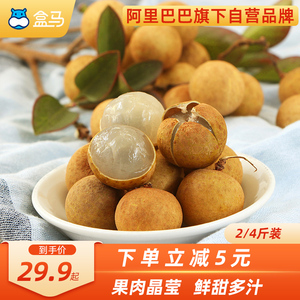 盒马泰国龙眼蓝标2/4斤装单果23mm 当季进口桂圆新鲜时令水果