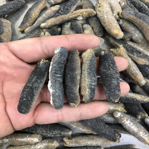 斯里兰卡明秃80头澳洲海参明秃参纯淡干货明秃海参500g包邮v海参大闸蟹图片