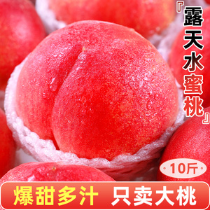 新鲜水蜜桃10斤桃子水果应当季现摘整箱包邮软时令油脆甜桃毛密桃