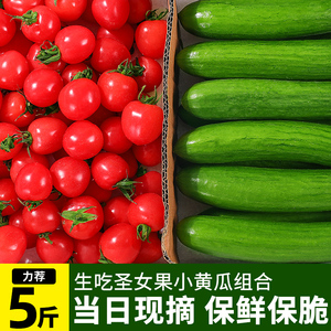 圣女果水果小黄瓜组合5斤生吃青瓜蔬菜千禧樱桃番茄新鲜西红柿子