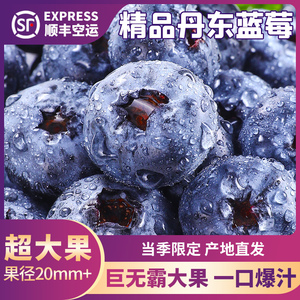 丹东蓝莓新鲜当季水果蓝梅鲜果高山怡颗甜莓整箱孕妇大果顺丰包邮