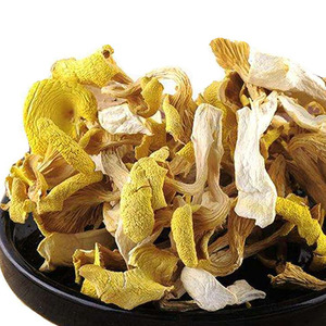 鸡油菌野生干货云南特产500g黄丝菌山珍黄蘑菇干香菇黄金菇榆黄菇